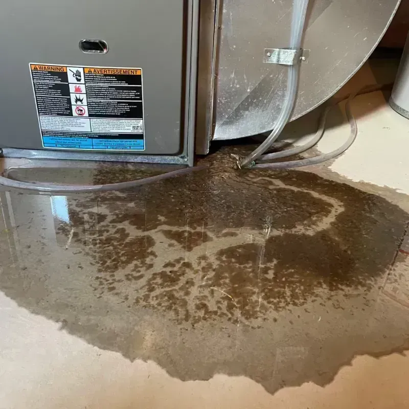 Appliance Leak Cleanup in Fayette, MO